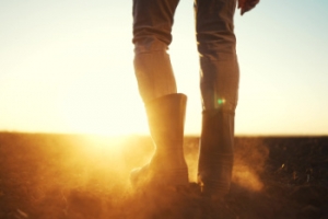 Protecting Your Feet in Hot Working Environments